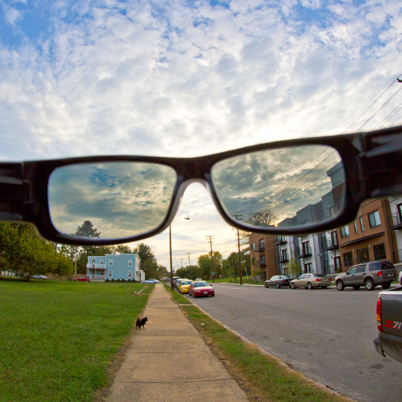 deven langston sunglass perry st